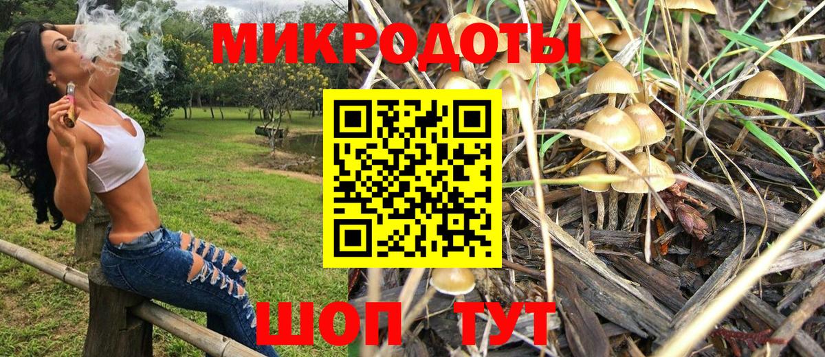 Псилоцибиновые грибы мухоморы Выборг